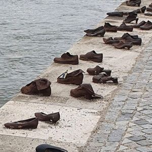 Meet your Posher, Robin